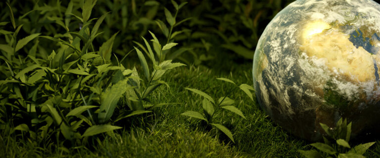 Arizona State University - Sustainability Essentials: Core Strategies for Lasting Impact