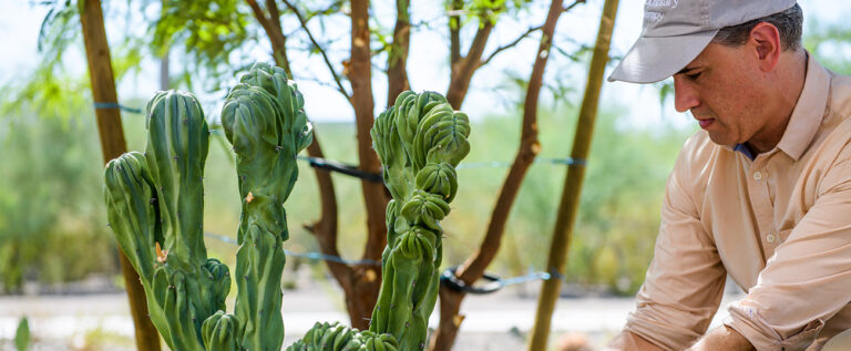 Arizona State University - Foundations of Sustainability and ESG for Organizations V2