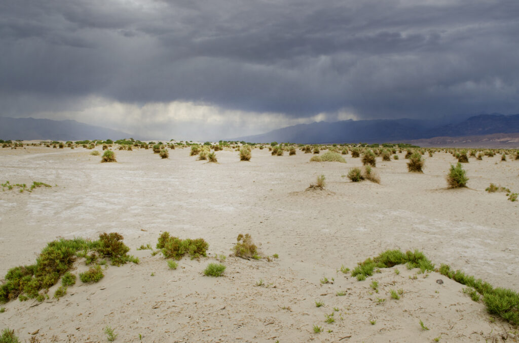 Arizona State University - Physical Geography: From Weather to Rocks